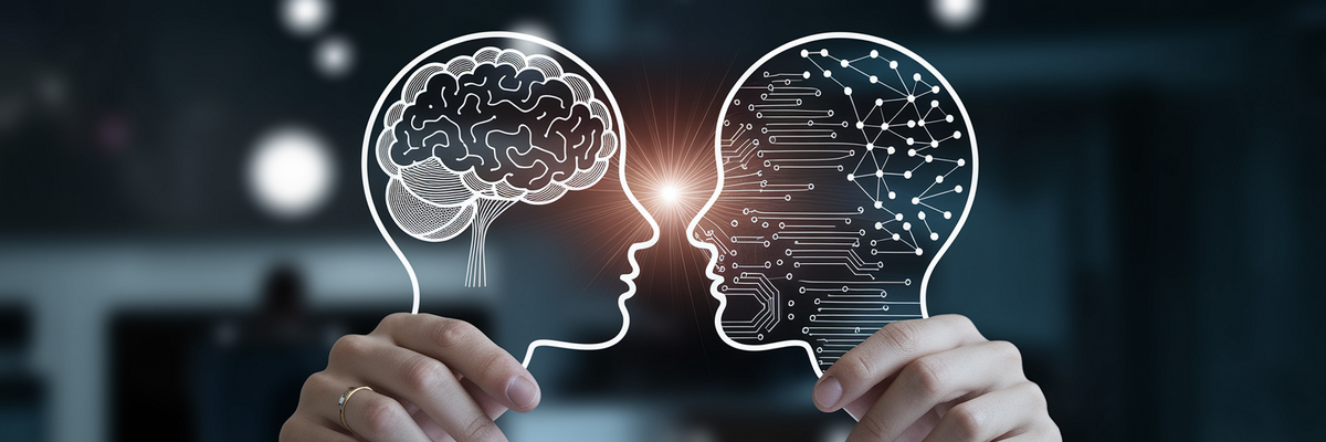 The Human-AI Collaboration Framework